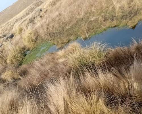 Vendo Campo en la Carolina,san Luis