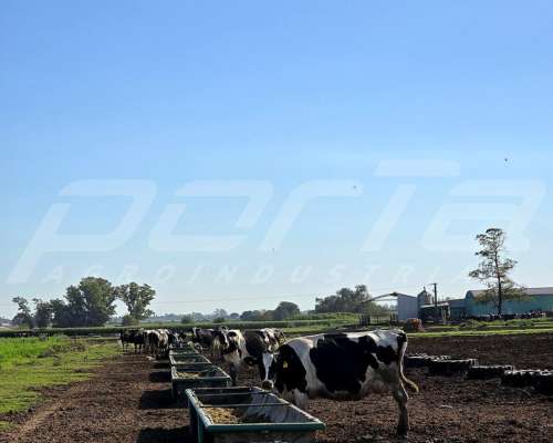 Comedero de Goma (sin Iva) 9 Metros Línea Pesada