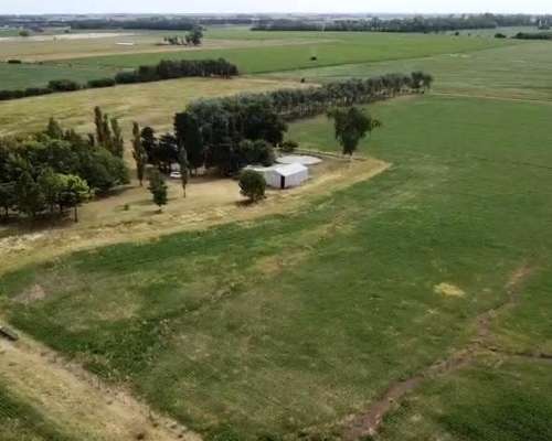 Campo Agrícola con Mejoras San Pedro