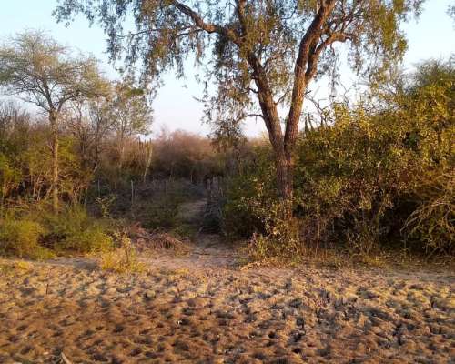 Campo Pozo del Mortero(formosa) 22k al Sur.sobre Ruta Prov.