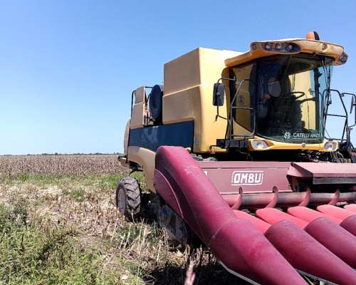 Vendo Cosechadora New Holland CS 660 año 2008 Doble Tracción