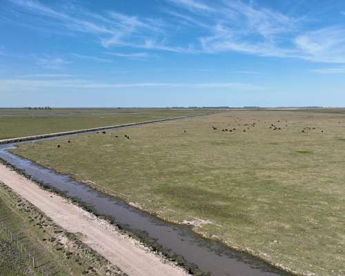 2700 Has. Campo Ganadero en Gualeguaychú