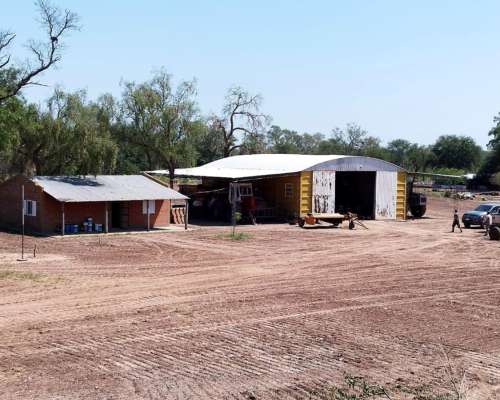 Joaquin V Gonzalez, Anta, Salta - 5.500 Ha