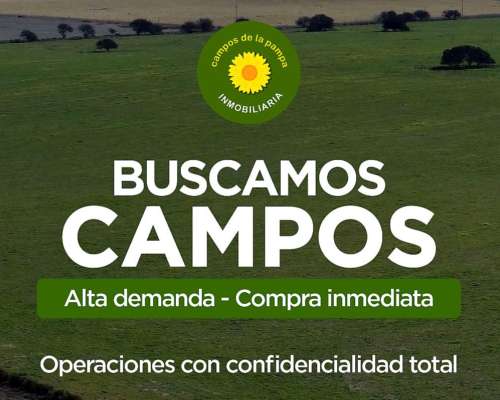 La Pampa - Tenemos Pedidos de Compra de Campos Ganaderos