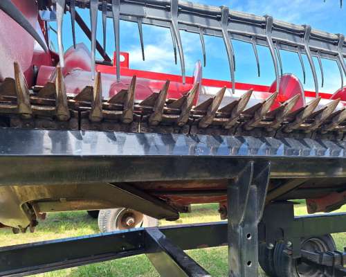 Cabezal - Case IH 3020 de 30 Pies con Carro - año 2020