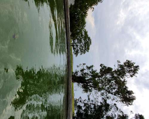 880 Has Sobre Ruta 51 Ganaderas