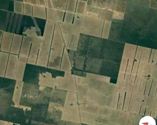 Campo Pinto 489 Ha Sobre RP13 0