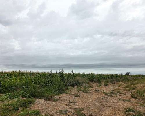 350 Hectareas Bolivar Venta