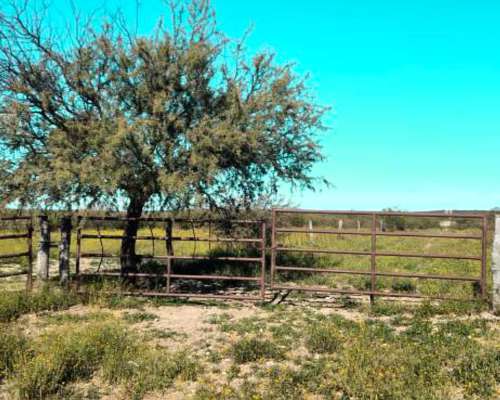 7.387 Ha Cuchillo CO, la Pampa
