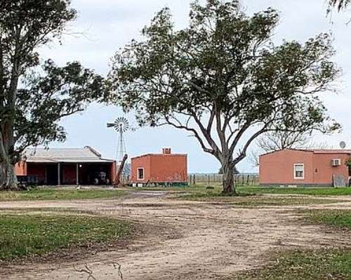 Campo a la Venta Ambrosetti - Dpto San Cristóbal - Santa FE