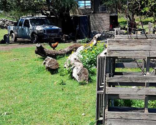 Zona Villa de Soto Campo Ganadero