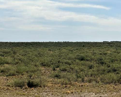 5021 Has. Patagones - Rio Negro