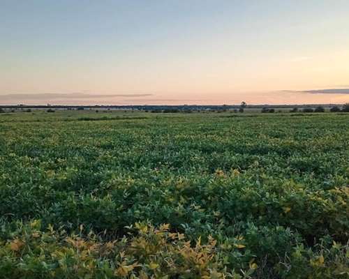 120 Ha en Don Cristobal. Campo Mixto