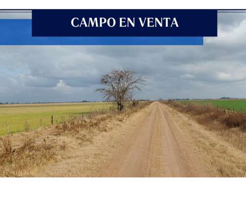 73 Has Agricolas Alem