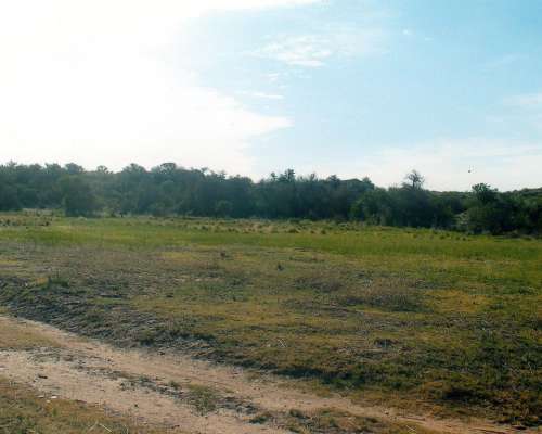 Campo Ganadero, Agua, Ruta Pavimentada, Electricidad