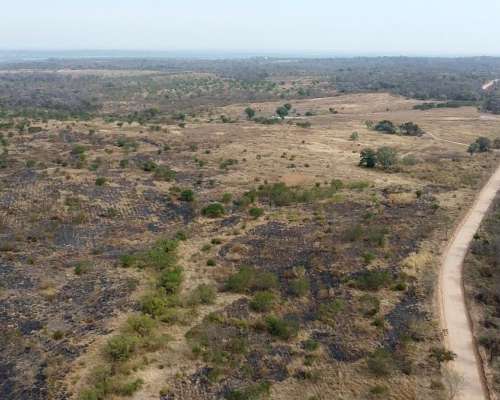 Campo en Venta en Embarcacion
