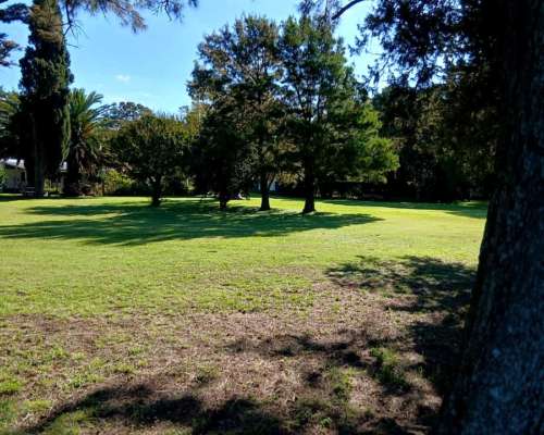 70 Has Agrícolas Suelo 1 con Casco Impecable.