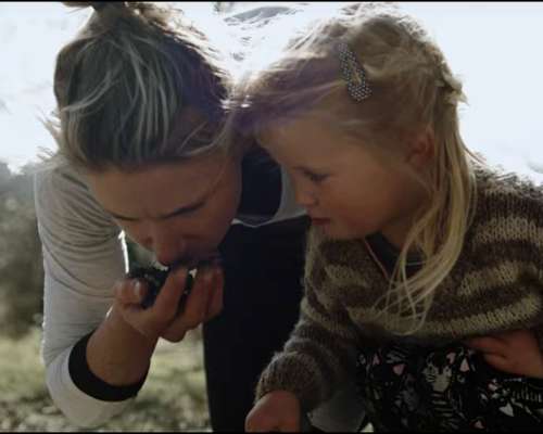 Trufa Negra - Venta de Plantines Micorrizados - Sustratos
