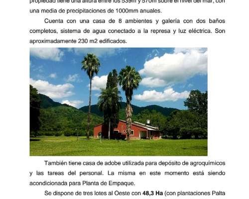 Vendo Campo para Aptas Frutas y Verduras