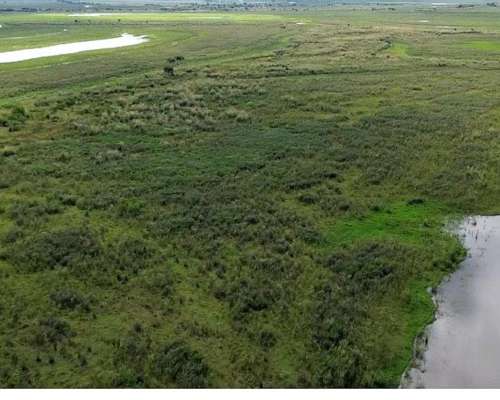 Isla en Diamante Entre Rios