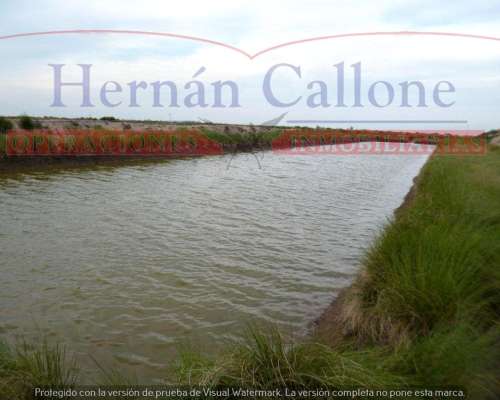 Campo Ganadero 5560 Ha en SUR de Santiago del Estero