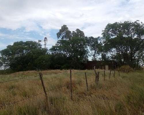 151 Ha Mixto Abramo la Pampa