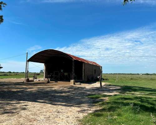 Venta / Campo Ganadero / Huanqueros / 1385 Ha