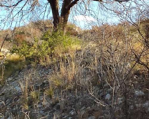 A Grupo Inversor 4 Socios/aventura, Camper Luxury Ecuestre