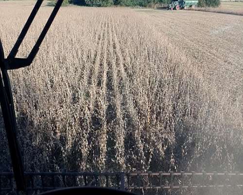 Deutz Fahr Óptima e