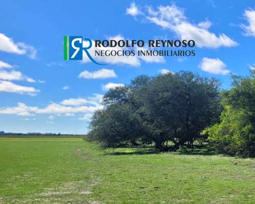700 HA. en Gualeguaychú, Entre Ríos