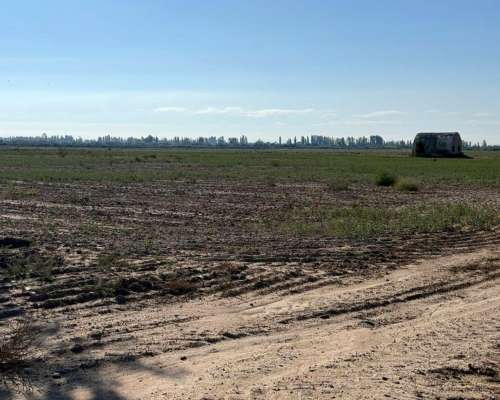 Finca en la Pega 25ha con Goteo