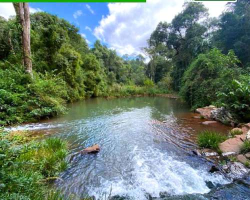 Chacra 95 Hectareas en Fracran Misiones