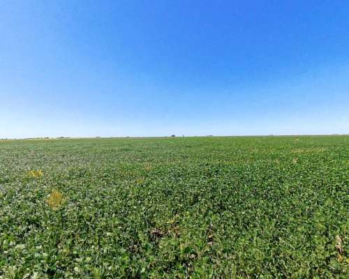 Campo en Venta – 816 Hectáreas