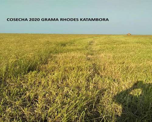 Gran Campo Ganadero 8000 Has Abundante Agua y Pasturas