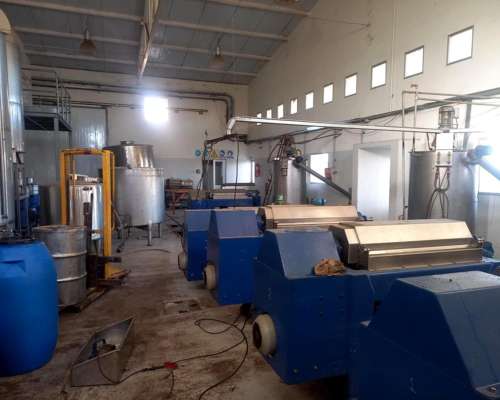 Fabrica Aceite de Oliva Línea Completa