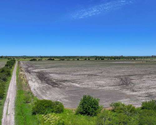 Pcia. de Entre Rios - Estacion Raices 63 Has