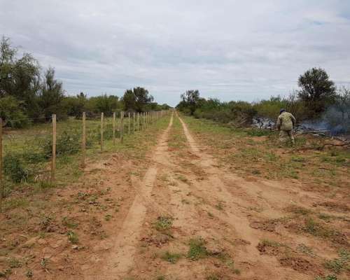 Chamical (LA Rioja) 5000 Has Asfalto