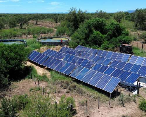 Campo Ganadero en Chuña, Córdoba