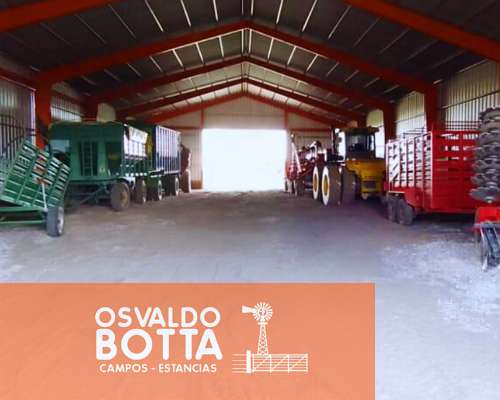 Campo Agricola-ganadero – 900 Ha Guatrache, la Pampa