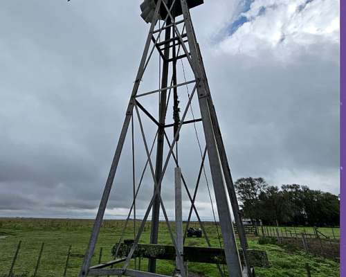 Campo Venta Pila Mixto 611 Ha