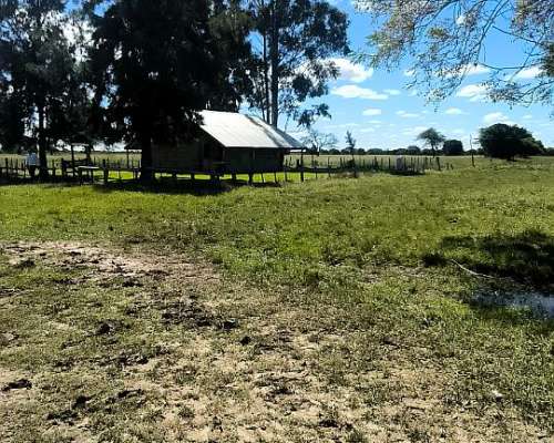 Campo Ganadero con Mejoras en Chajari