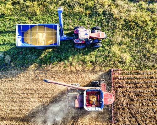 Campo Agricola en Venta de 125 Ha en Carcarañá