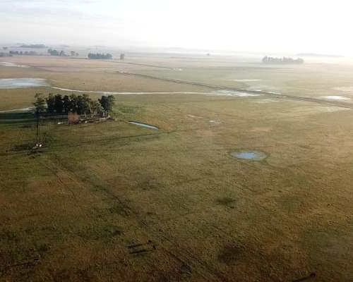 300 Ha Ganaderas Labardén, Pdo. Gral. Guido, Pcia. BS. AS.