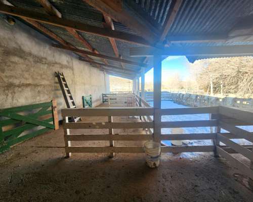 20.500 Ha Excepcional Estancia en Chubut