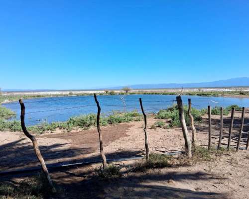Campo Ganadero Pampas Blancas, en la Rioja, 11500 Has