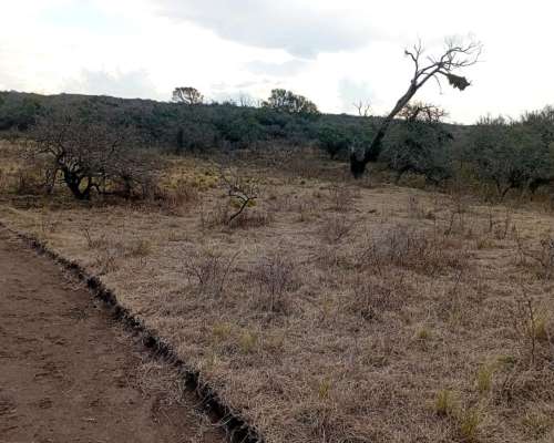 Venta de 213 Ha Ganaderas en Berrotarán