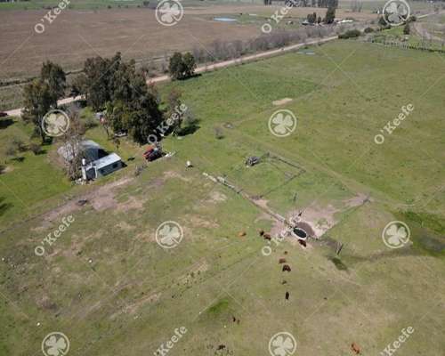 Chacra en Venta de 15 Has en Gral. Belgrano. Agricola