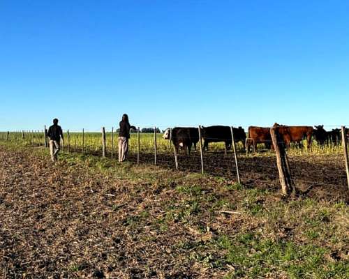 Estancia Ganadera 32.500 Has la Pampa - Potencial Heolico