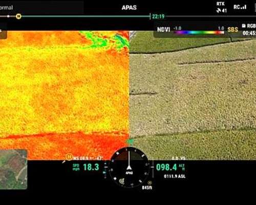 Drone DJI Mavic 3m (mapeo Multiespectral)