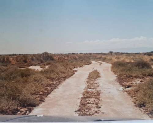 Campo San Juan 2026